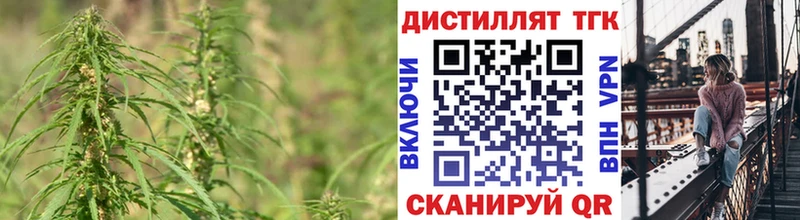 Купить Красный Кут Дистиллят ТГК Wax