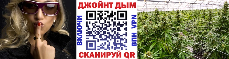 Бошки марихуана сатива  Купить закладки  Красный Кут 